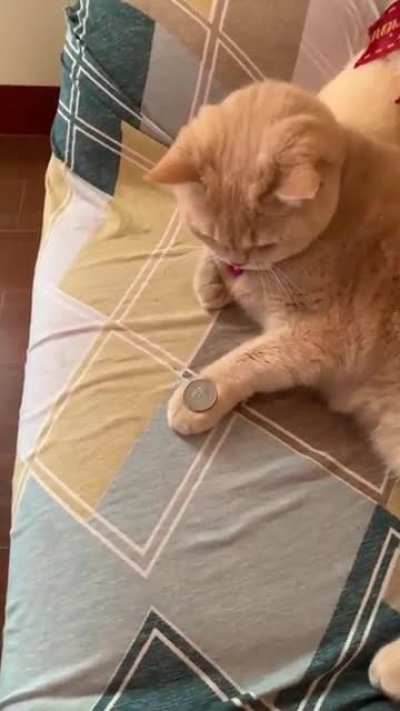 Aktrollerden daha zeki bir kedy