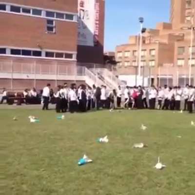 Great aim!