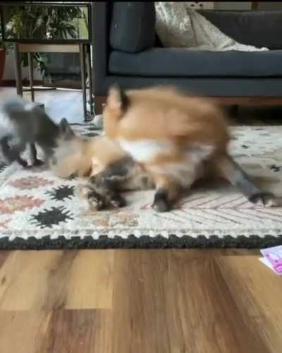 Play time