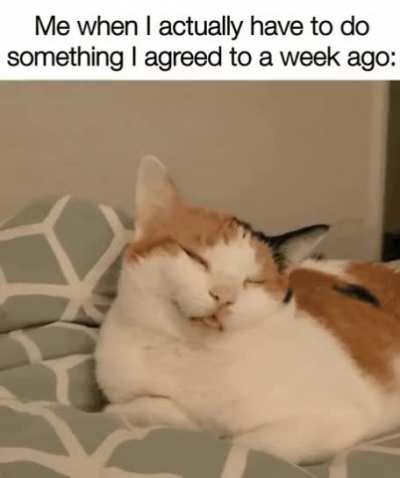 Such a pain.