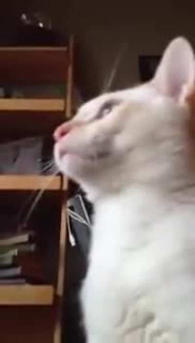 Ué