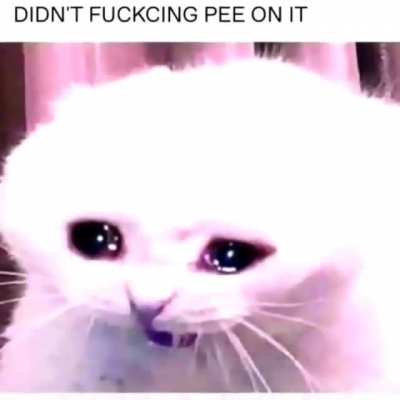 lil piss boy 🤤
