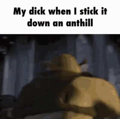 Fucking ants in my dick