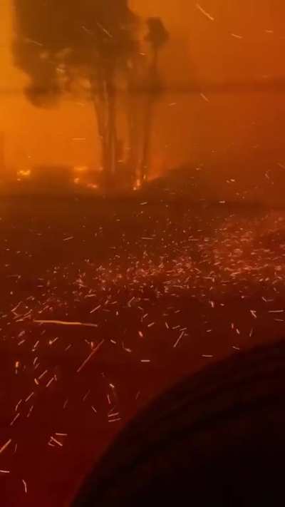 Forest fires in Chile