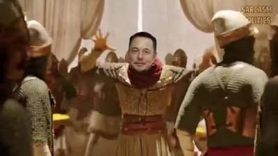 Elon Musk after Twitter buyout