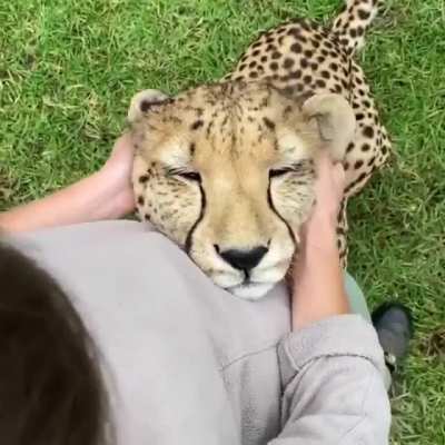 Quiero uno