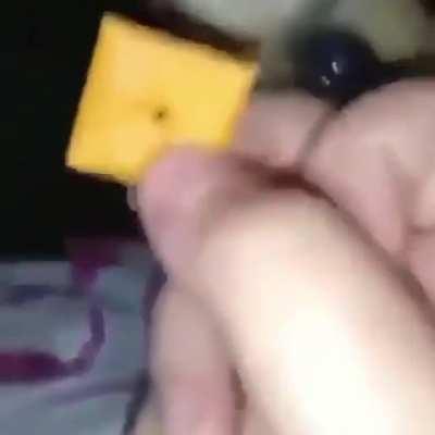 he wants that cheez it fool