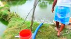 Feeding the fishies