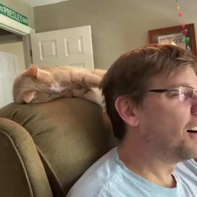 cats are assholes