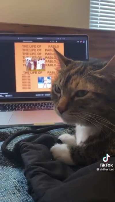 w cat