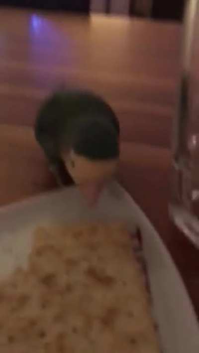 thief