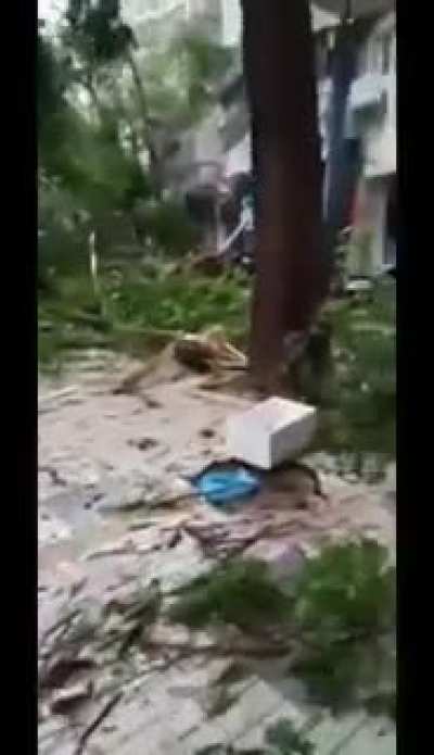 Powerful typhoon 