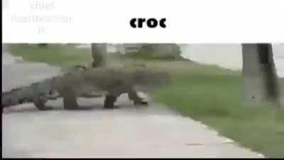 who win???