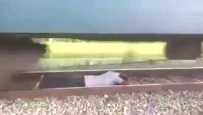 Choo Choo