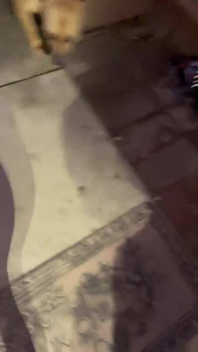 K/O My neighbor was talking shit to my kids, so I tried to tell him to talk to me instead & this is how it went!