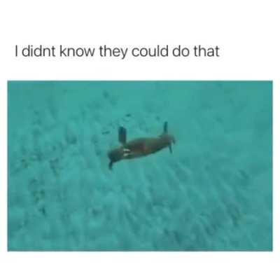 AAAAAAAAAAAAAAAAA