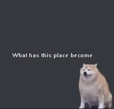 [META] Me seeing more and more good memes on this subreddit every day (sorry if this isn't allowed)