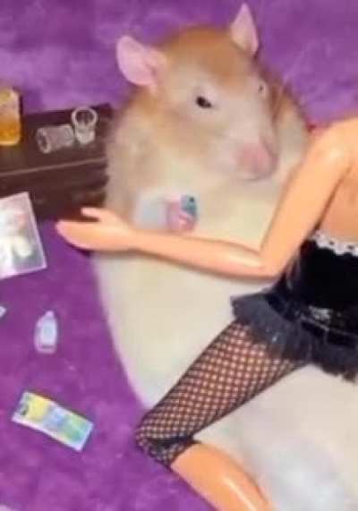 i wish to become the king of this subreddit
