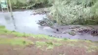 Somewhere in Kenya...