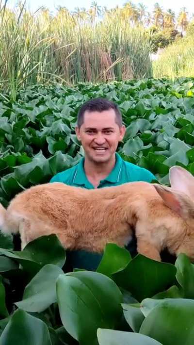 So big🐰