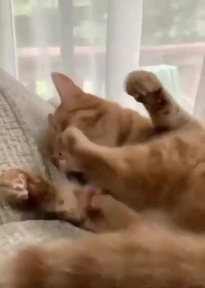 Cat.exe не отвечает.