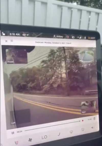 How can a cop drive like this?
