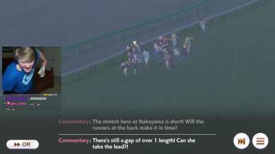 Least Unhinged Horse Girl Racing Streamer