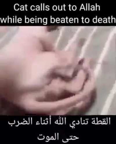 Hope this helps
