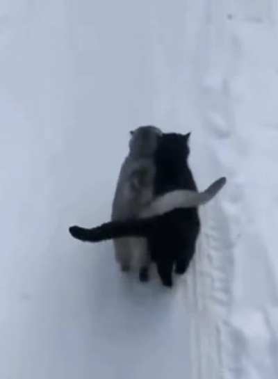 Winterspaziergang