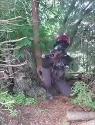 That tree scared that player