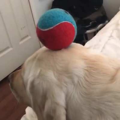 Woof irl