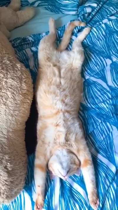 The Innocent Centerfold