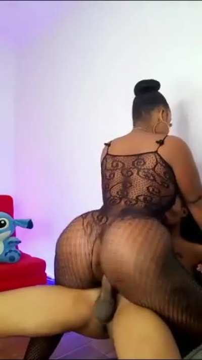 CHULA<wbr>BOUNT<wbr>YLISA<wbr>COITU<wbr>SCYDO<wbr>NE
