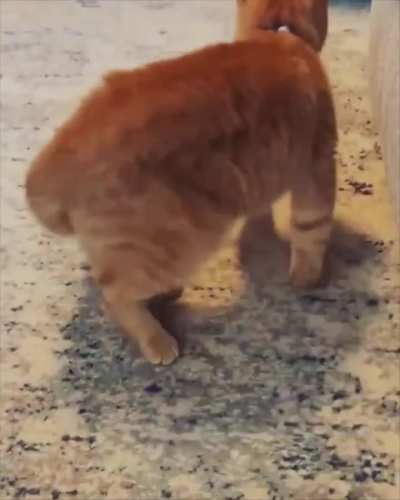 Asking to play