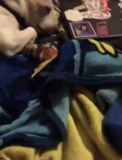 idk if this counts but it made me nose exhale