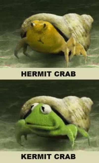 Blursed crab
