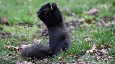 Cute or what?