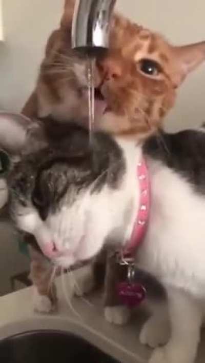 This water is mine, no mine, no mine, no mine !!