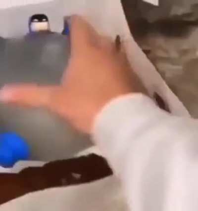 Title