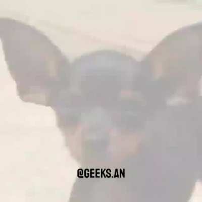 ai ai ai 😎