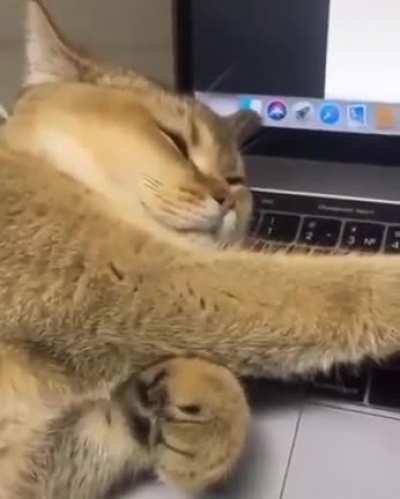 Touch tha Hand.....