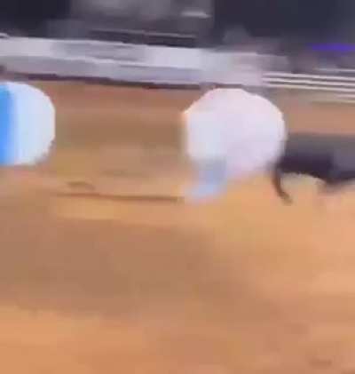 aaaaaaa