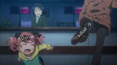 How I exit Vim