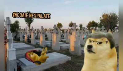 Vadim scuipa fapte