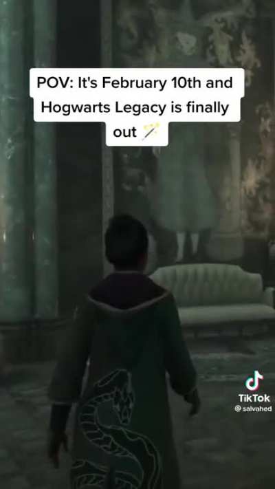 Me when Hogwarts legacy comes out