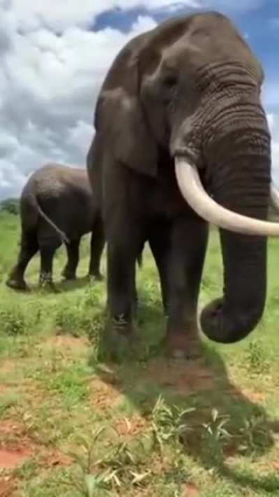 Maybe maybe maybe