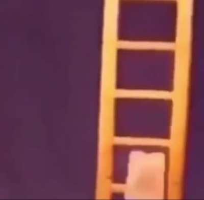 Cool ladder