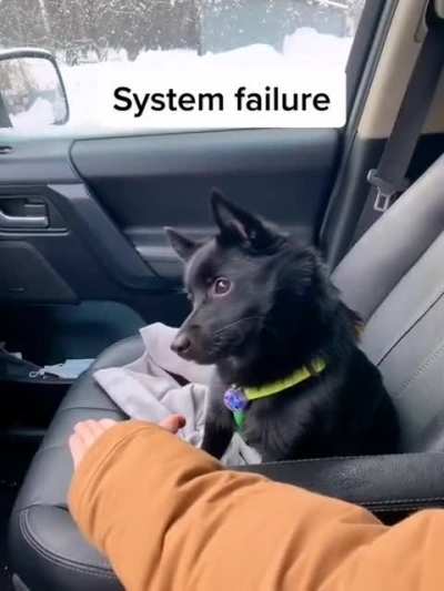 Where is his treat?