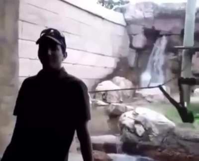 POV: Tu amigo te pidió que le grabes un vídeo con Orson