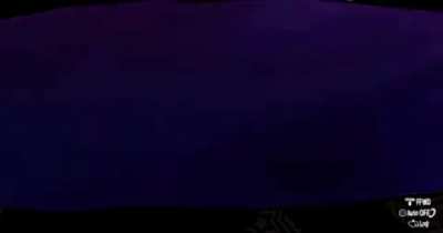 Wario’s Fusion
